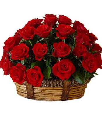 Dozen Red Roses Basket