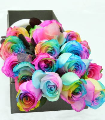 Ecuadorian Rainbow Roses in Box - 15 Stems