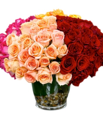 Endless Love Roses