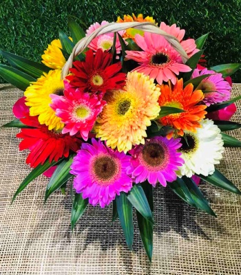 Gerbera Flower Basket - 20 Stems
