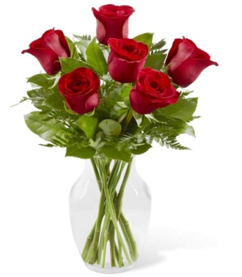 Half Dozen Red Rose Arrangement