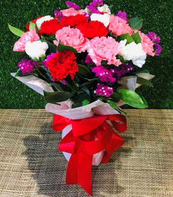 Mix Color Carnations Bouquet - 15 Stems