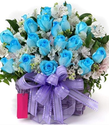 Mother's Day Roses