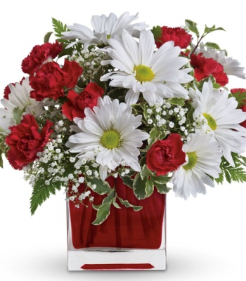 Red & White Carnation & Daisy Arrangement