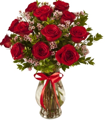 Sendabunch Luxury Red Carnation Bouquet - 24 Fresh Stems With Free Box