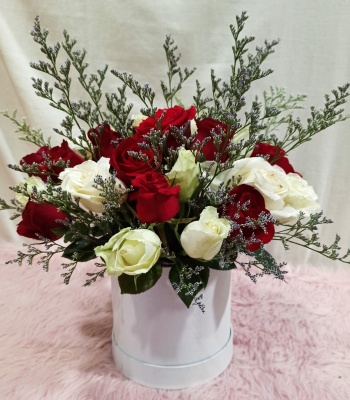 Red and White Roses in Box - 24 Stems