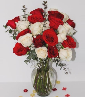 Red and White Roses in Vase - 24 Stems