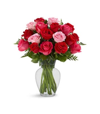 Romance In Red Roses