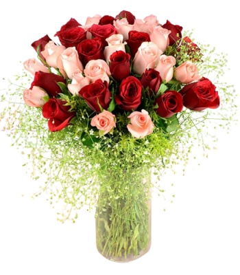 Romantic 36 Roses Vase Arrangement
