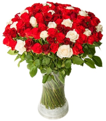 Romantic Roses Arrangement