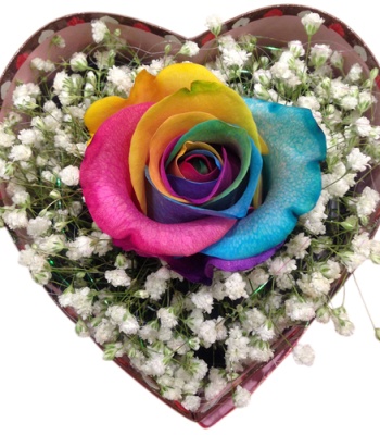 Single Rainbow Rose In Heart-Shaped Box