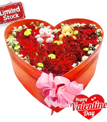 Valentine's Day Flowers & Teddy Bear Gifts