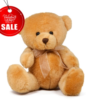 Valentine's Day Teddy Bear - 8" Small Size