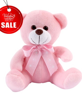 Valentines Pink Teddy Bear