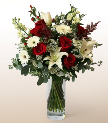 Christmas Flowers - Red and White Flowers