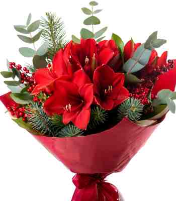 Merry Christmas Flower Bouquet