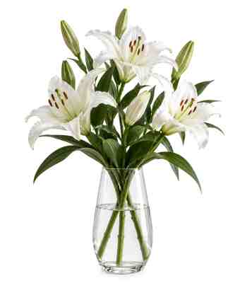White Lily Condolence Bouquet