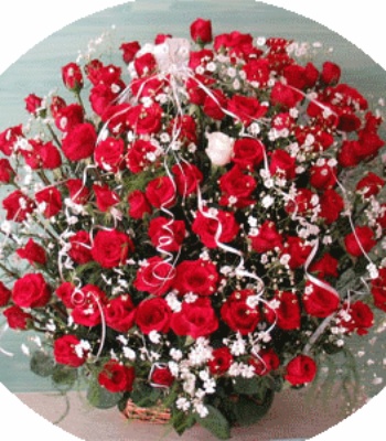 101 Red Roses