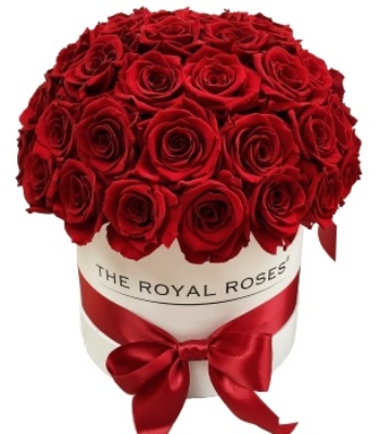 41 Red Roses in A White Box