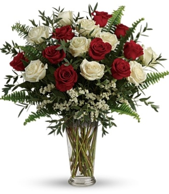 Red and White Roses - 21 Stems