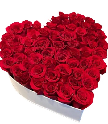 Valentine's Day Red Roses - 51 Roses