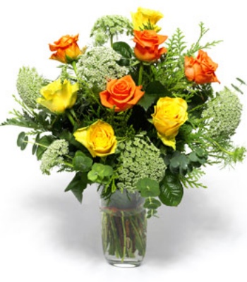 Yellow and Orange Roses