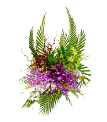 Orchids Table Flower