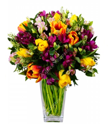 Assorted Tulip Bouquet with Alstroemeria