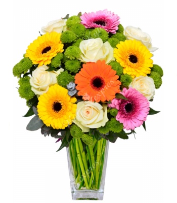 Gerberas and roses flowers