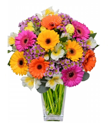 Gerberas and Santini with Alstroemeria