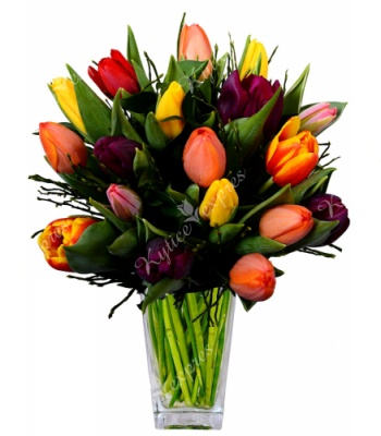 Mix Tulips Bouquet