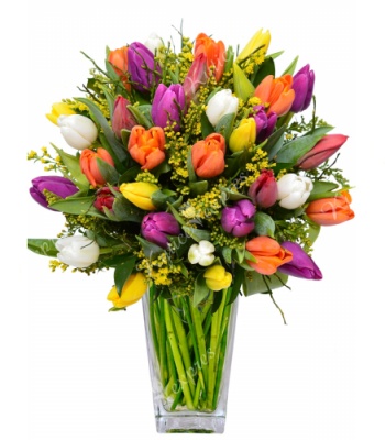 Mixed Colored Tulips