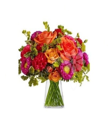New Born Flowers