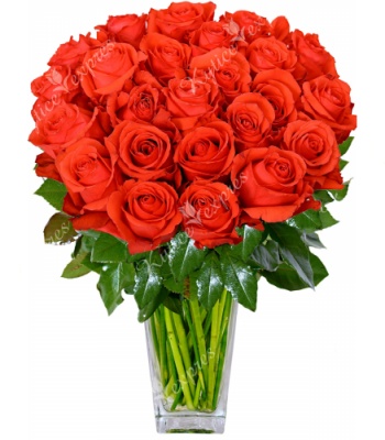 Orange Rose Bouquet
