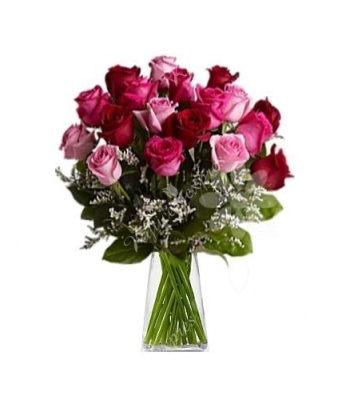 Pink and Red Roses