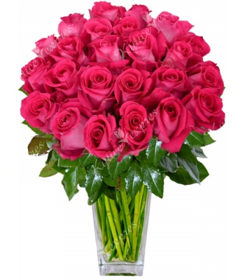Pink Roses Bouquet