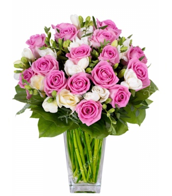 Pink Roses and White Freesias Flowers