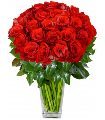 Red Rose Bouquet - 13 Stems
