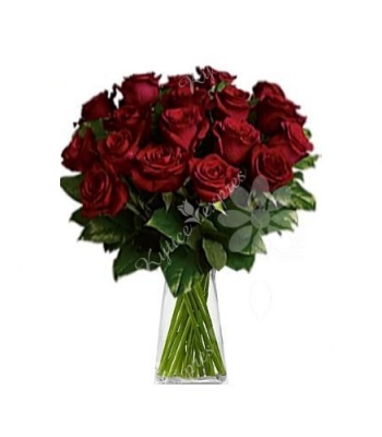 Red Roses - 13 Stems
