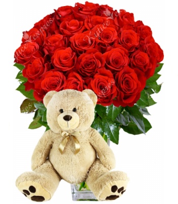 Red Roses and Teddy Bear