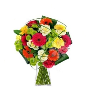 Tulip Flowers with Santini and Mini Acrofiates