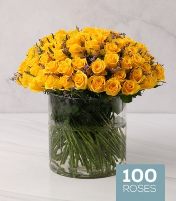 100 Yellow Roses in Vase