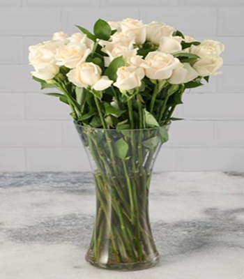 Cream Rose Arrangement - Free Glass Vase