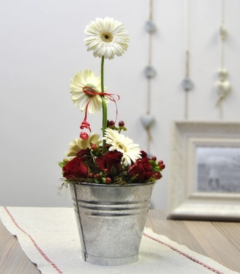 Gerbera And Roses In Metal Bucket