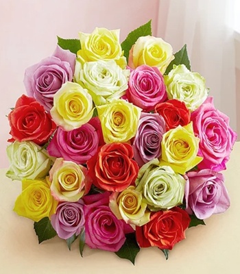 Mix Color Roses