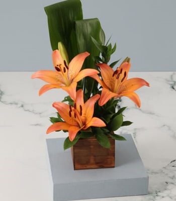Orange Lilies In Wooden Box