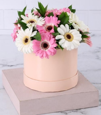 Pink and White Gerberas in Hatbox