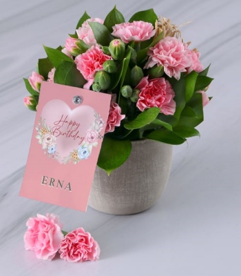 Pink Mini Carnation Arrangement