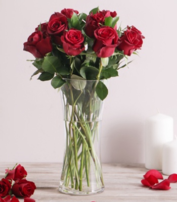 Red Roses in Vase