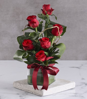 6 Red Rose Arrangement in Square Glass Vase